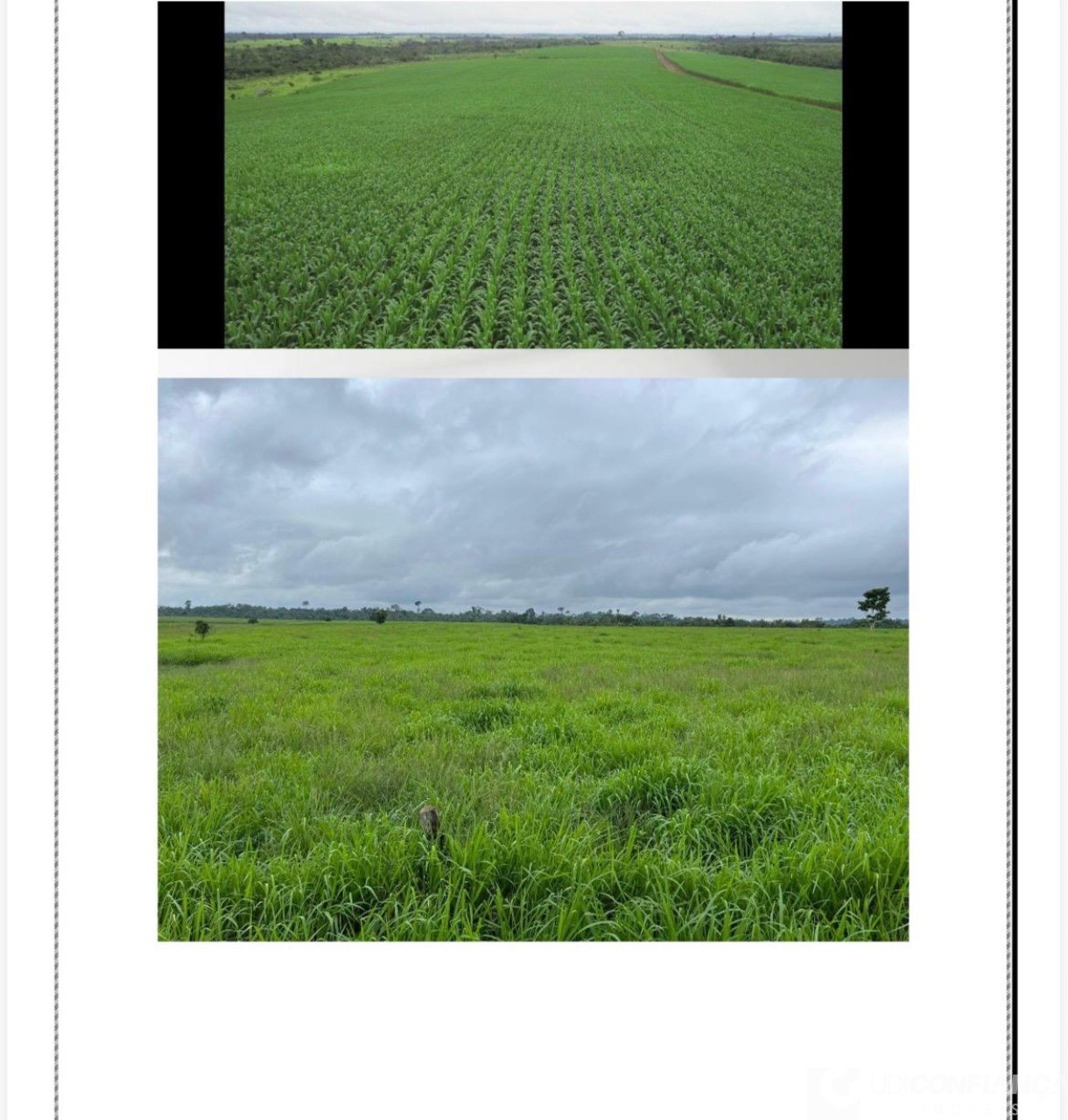 Fazenda - Foto 2