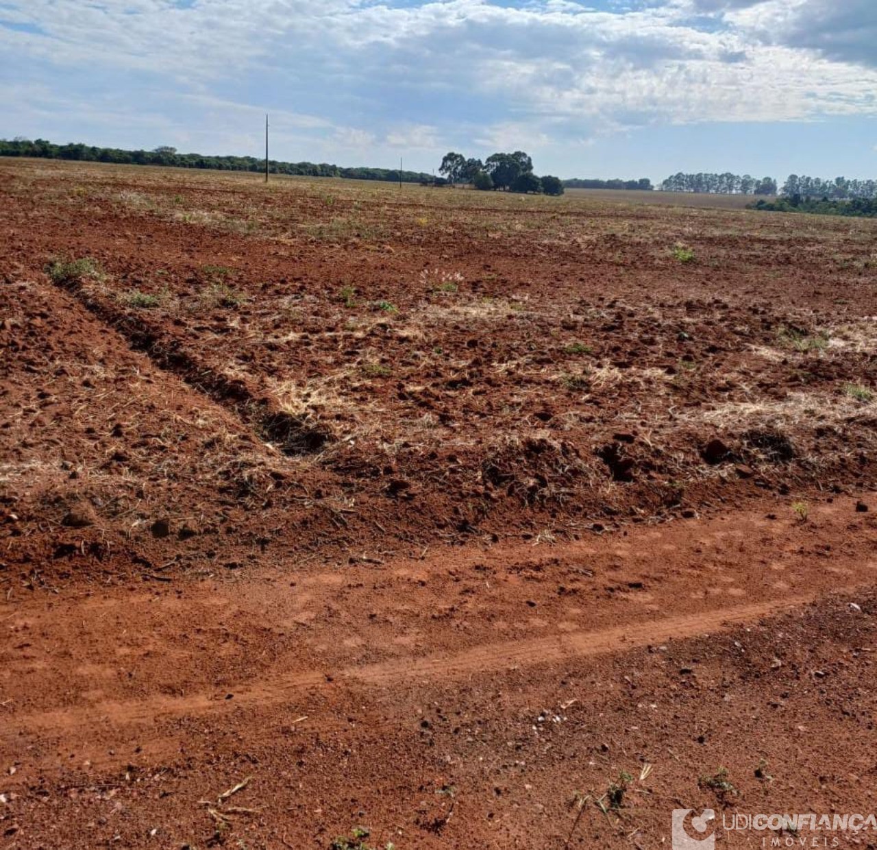 Fazenda - Foto 13