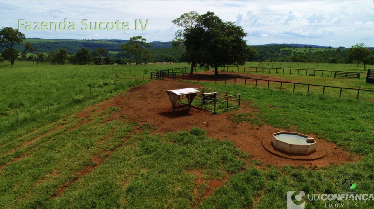 Fazenda - Foto 9