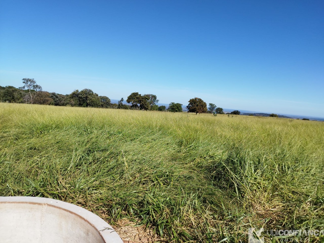 Fazenda - Foto 5