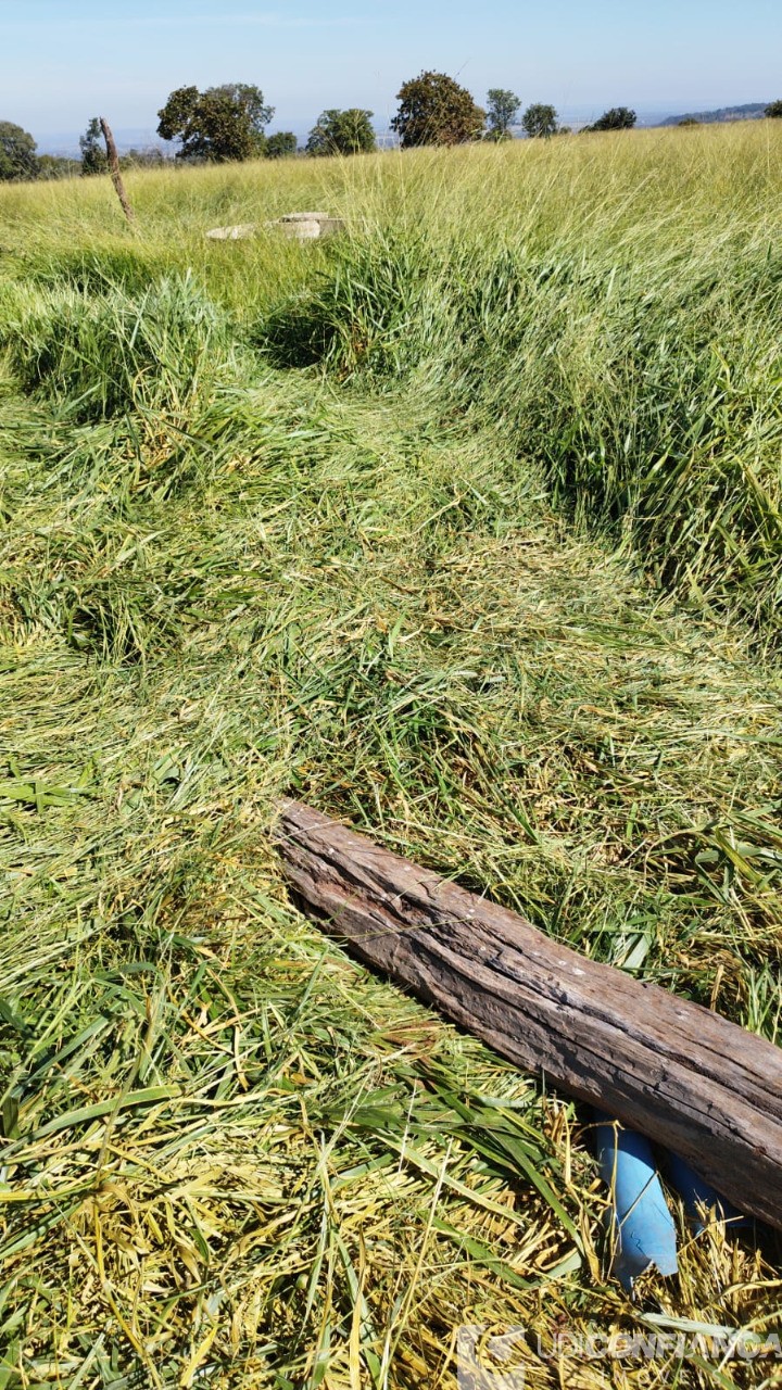 Fazenda - Foto 2