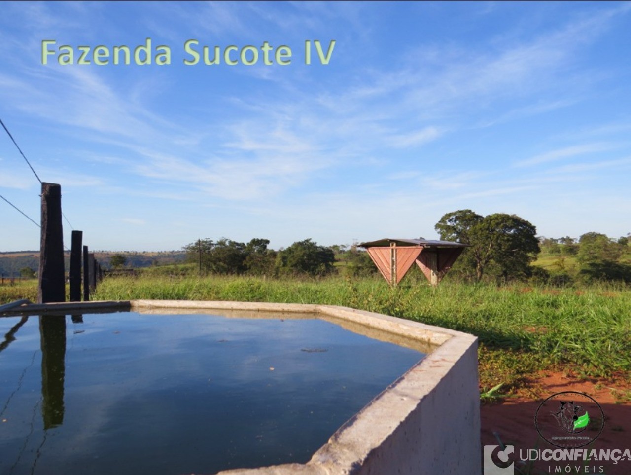 Fazenda - Foto 13