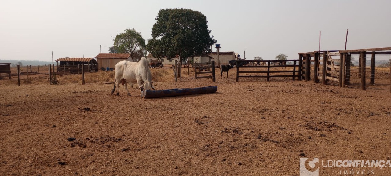 Fazenda - Foto 2
