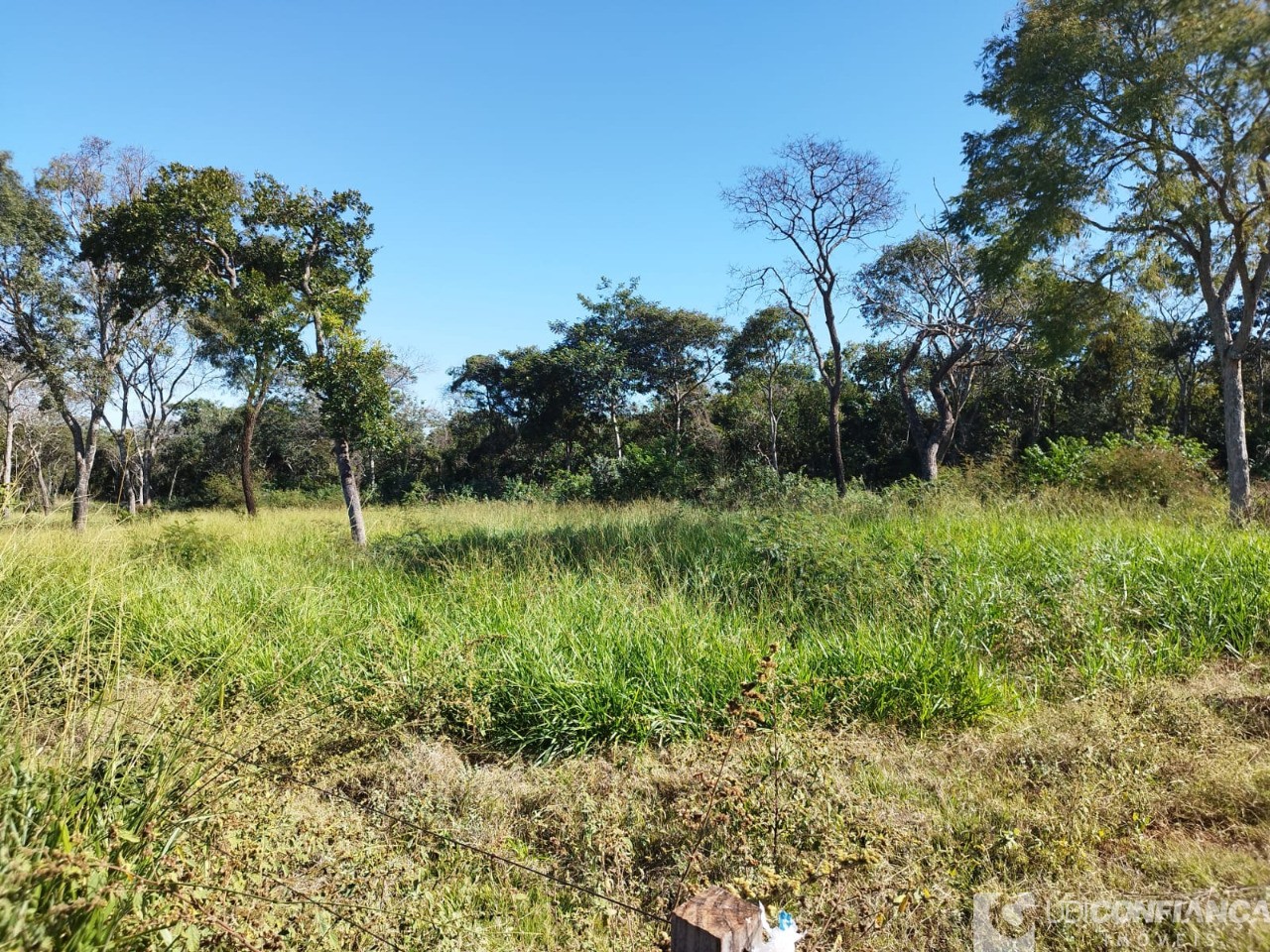 Fazenda - Foto 6