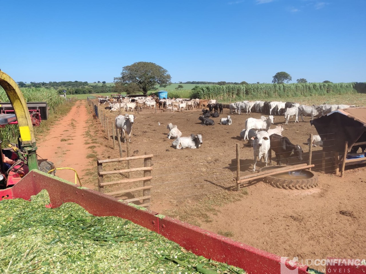 Fazenda - Foto 2