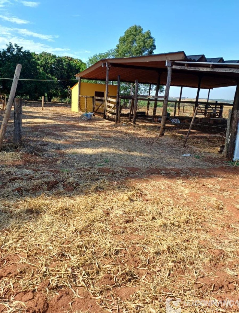 Fazenda - Foto 3