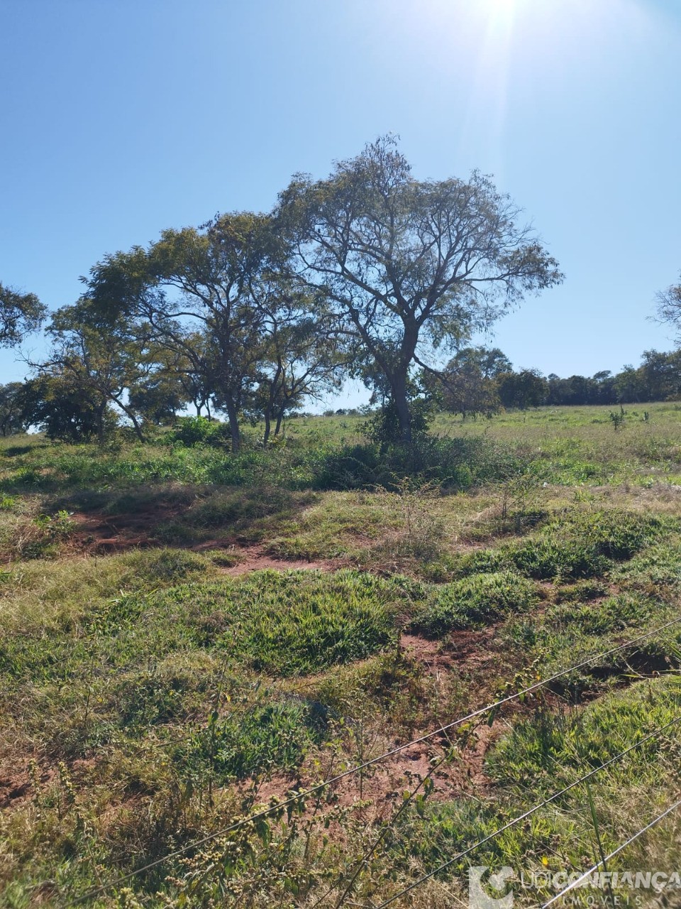 Fazenda - Foto 8