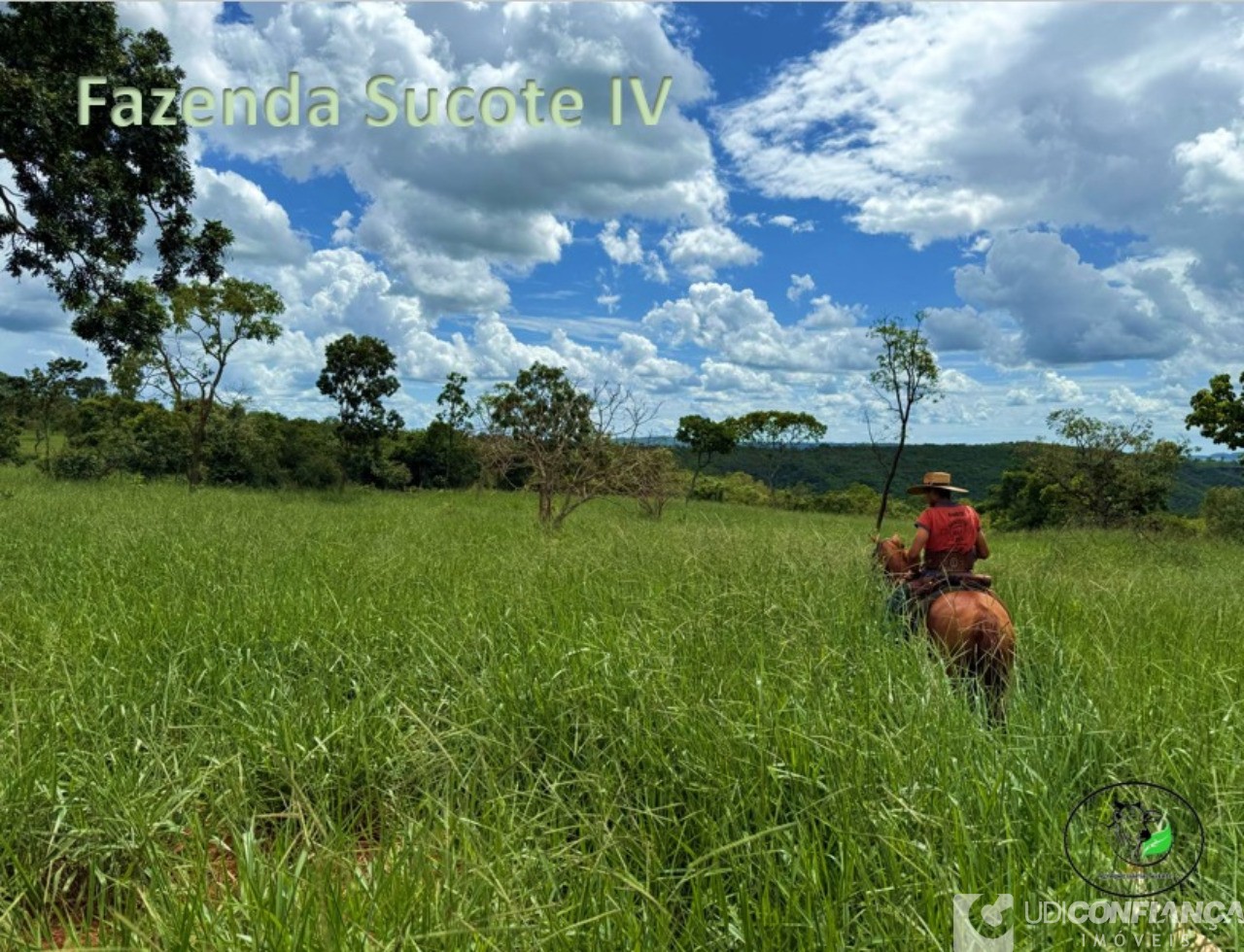 Fazenda - Foto 11