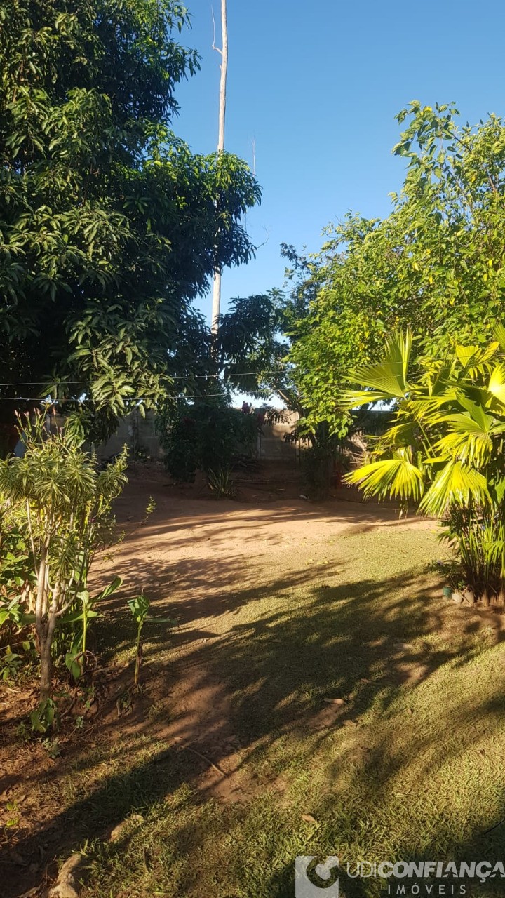 Sítio - Foto 11