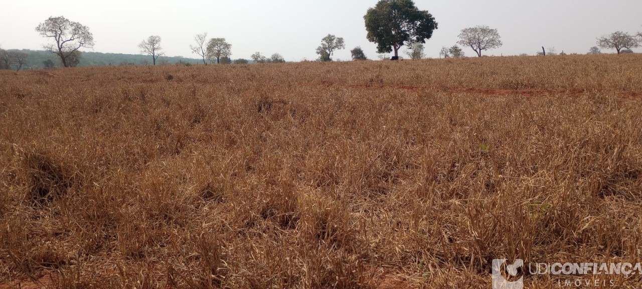 Fazenda - Foto 10