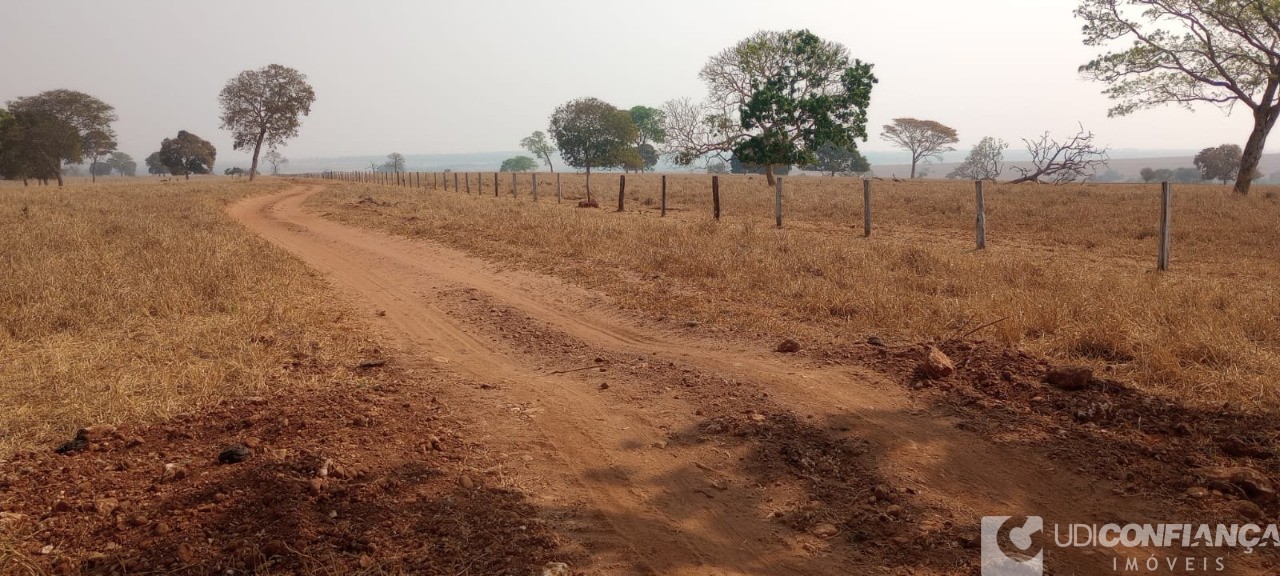 Fazenda - Foto 5