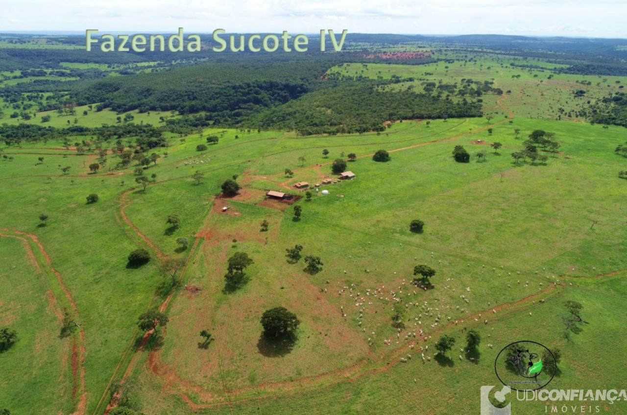 Fazenda - Foto 15