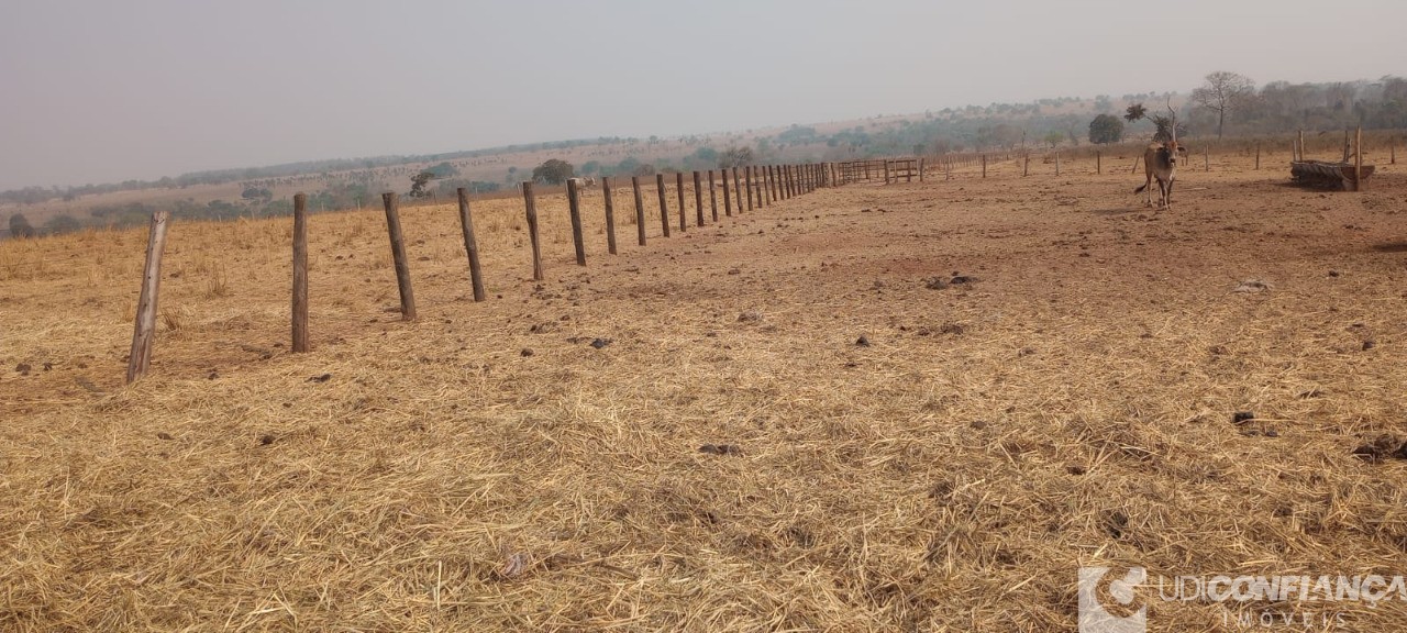 Fazenda - Foto 3