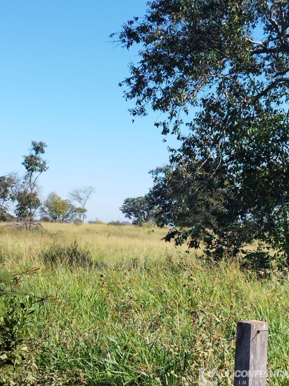 Fazenda - Foto 7