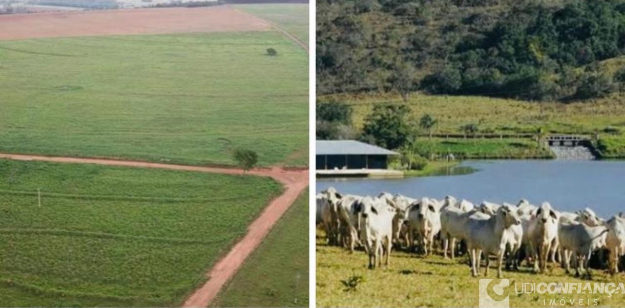 Fazenda - Foto 1