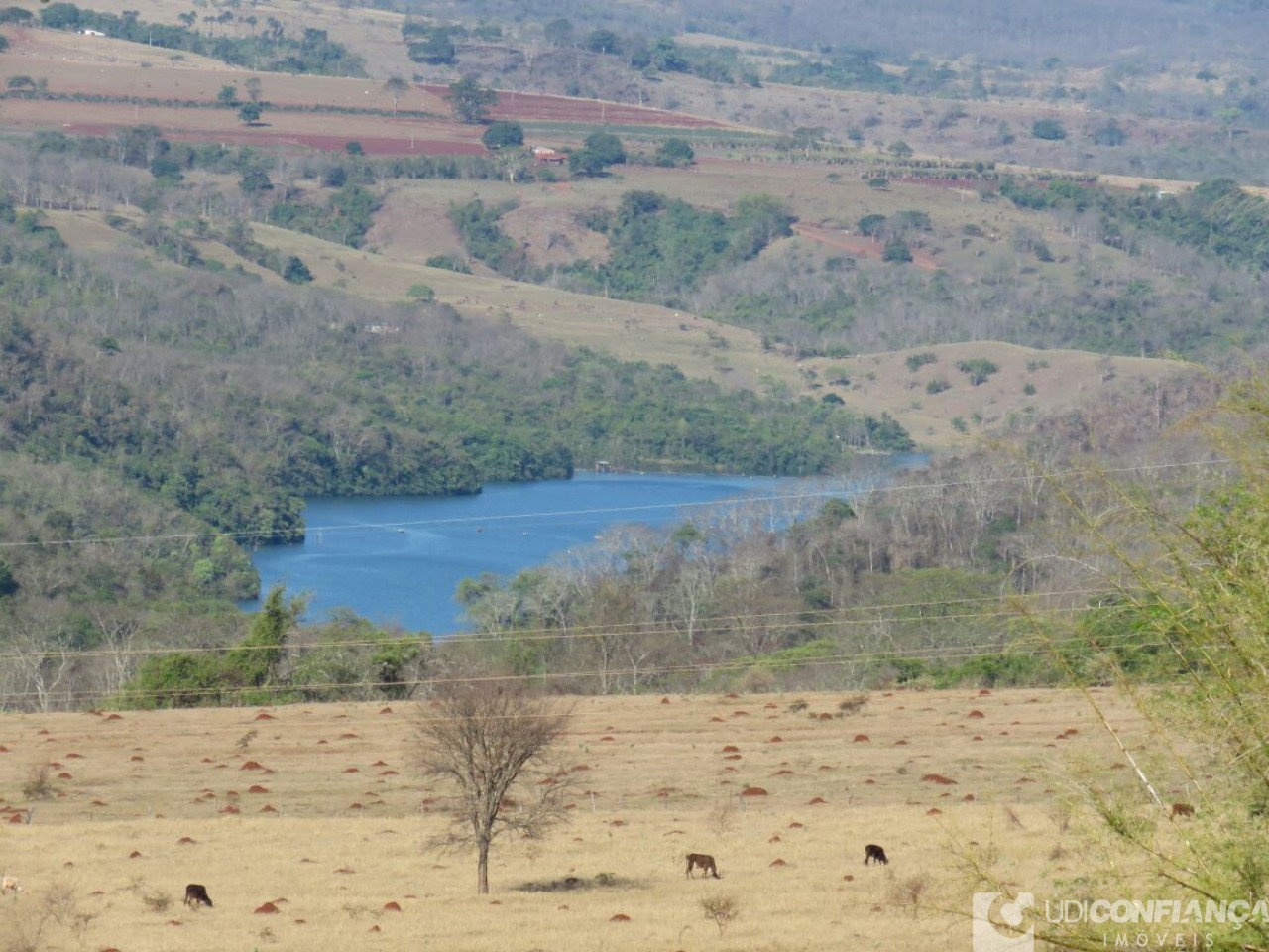 Fazenda - Foto 12