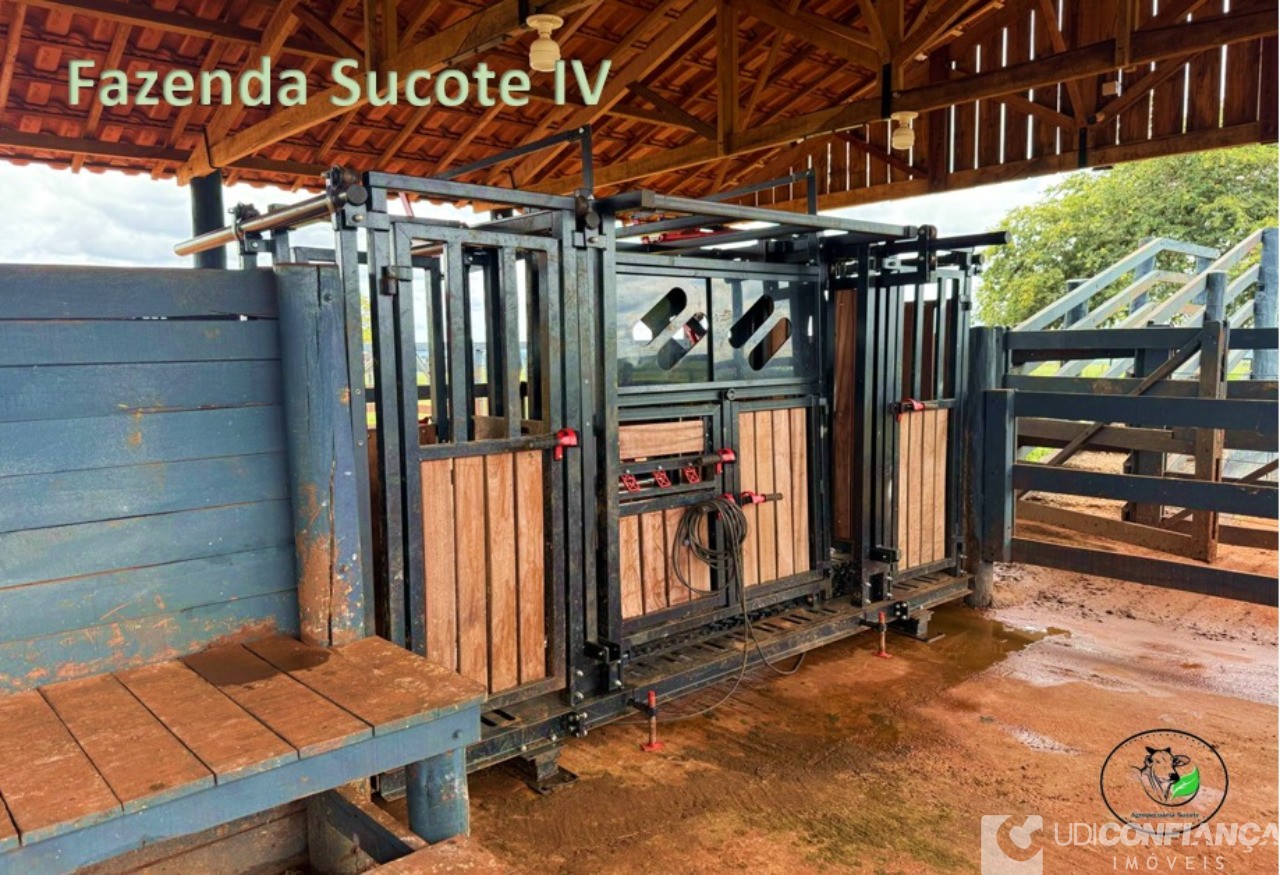 Fazenda - Foto 2