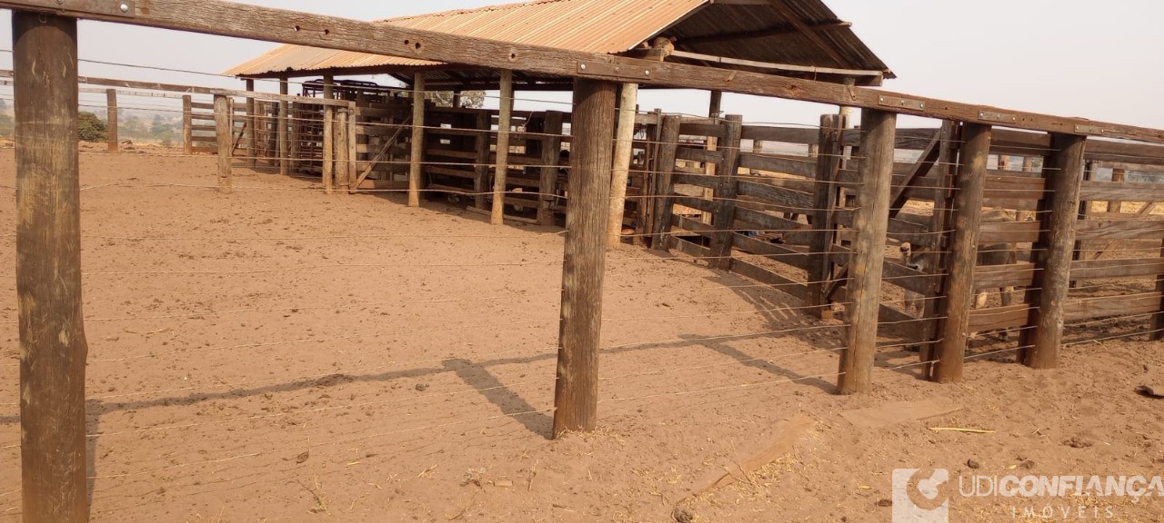 Fazenda - Foto 4