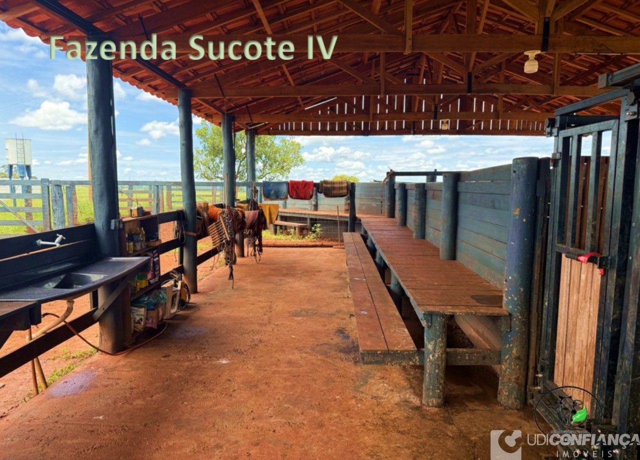 Fazenda - Foto 5