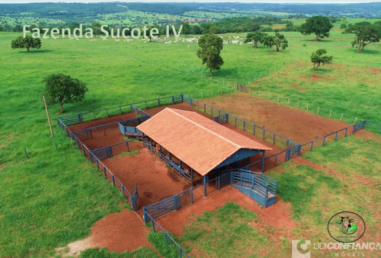 Fazenda - Foto 8