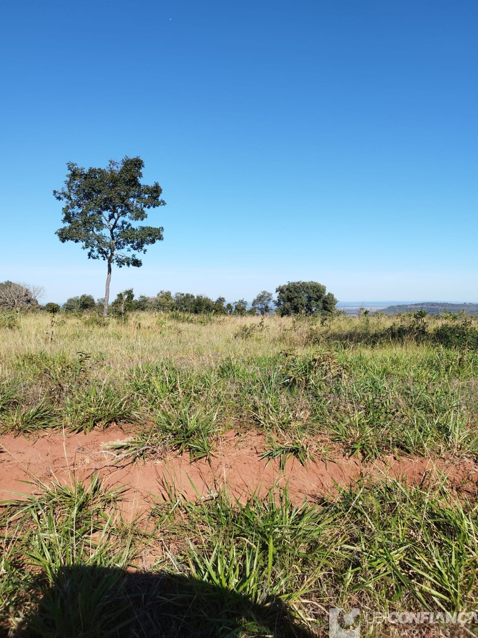 Fazenda - Foto 3