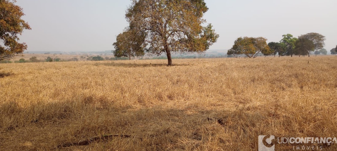 Fazenda - Foto 6