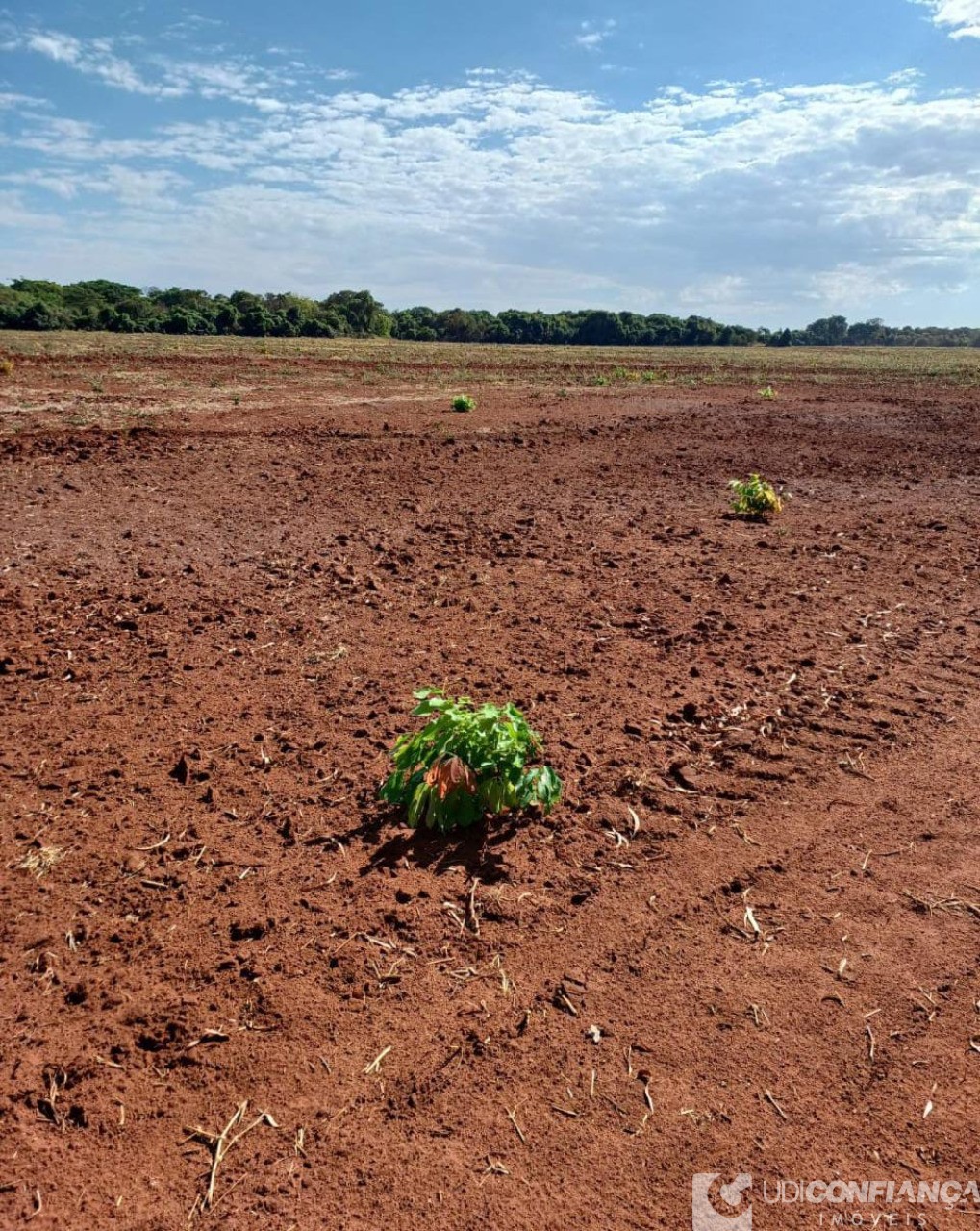 Fazenda - Foto 7