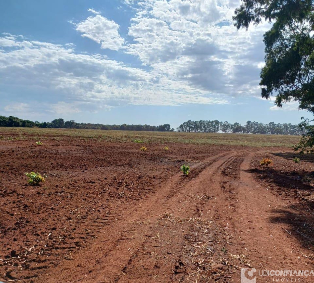 Fazenda - Foto 11