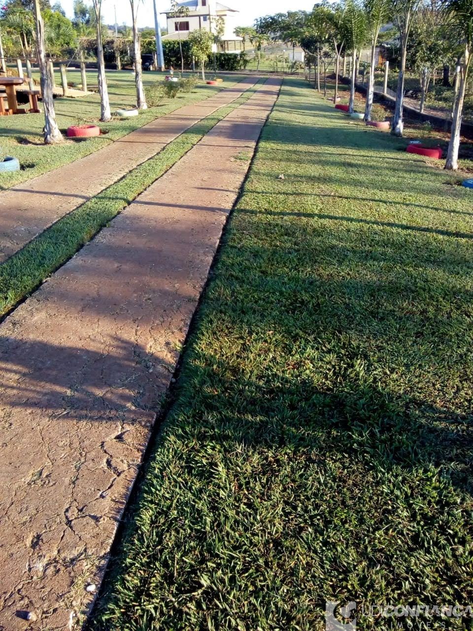Fazenda - Foto 6