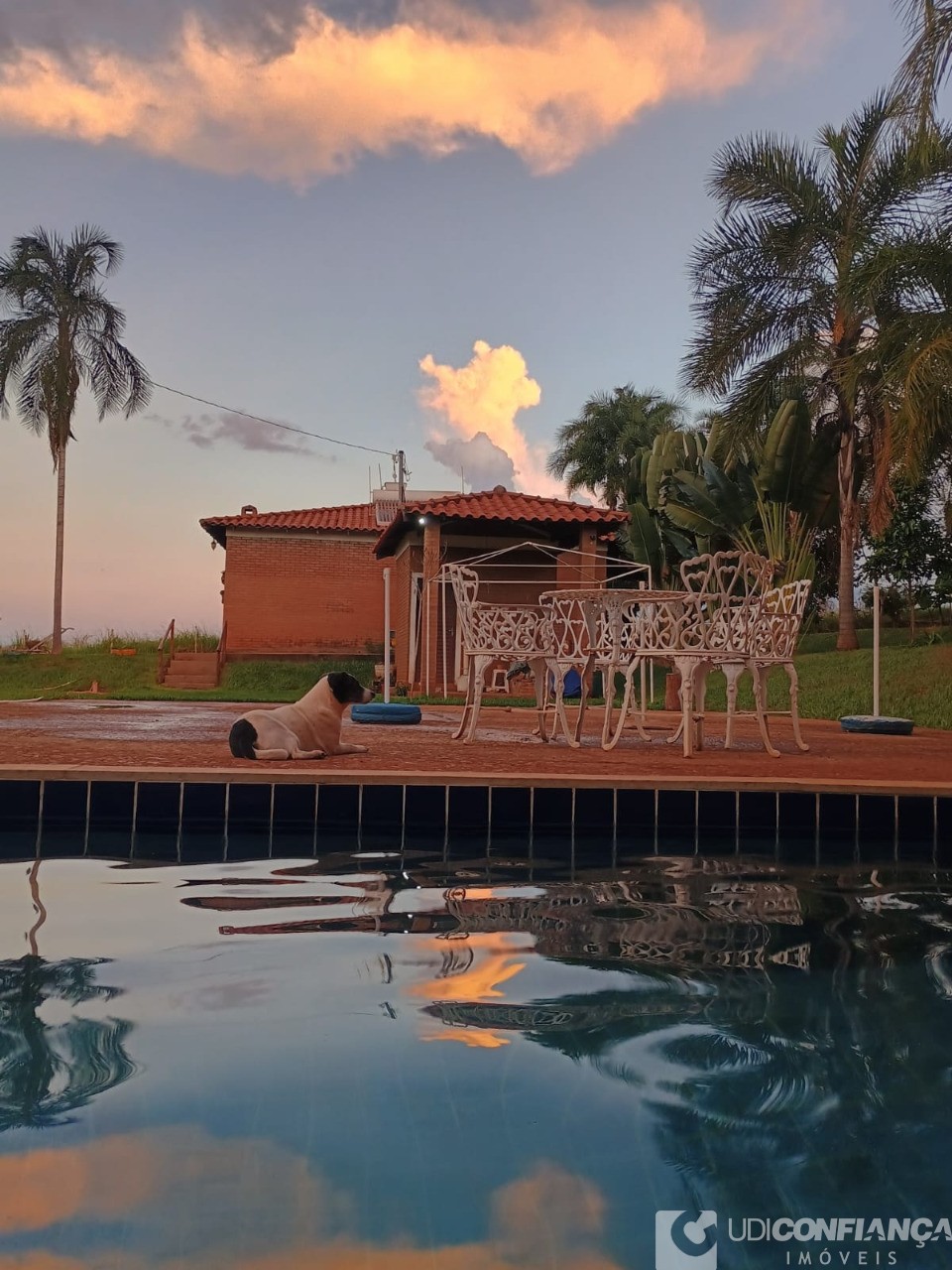 Fazenda - Foto 15