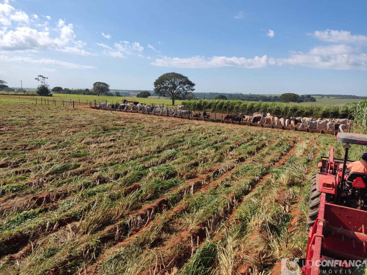 Fazenda - Foto 1
