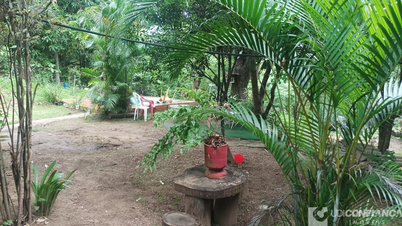 Sítio - Foto 7
