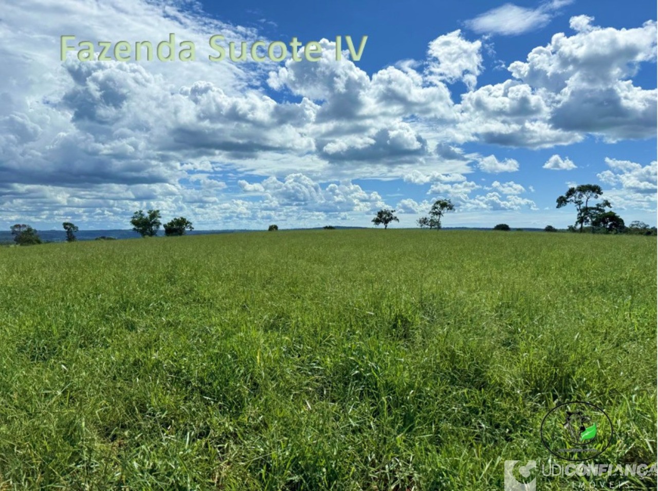 Fazenda - Foto 14