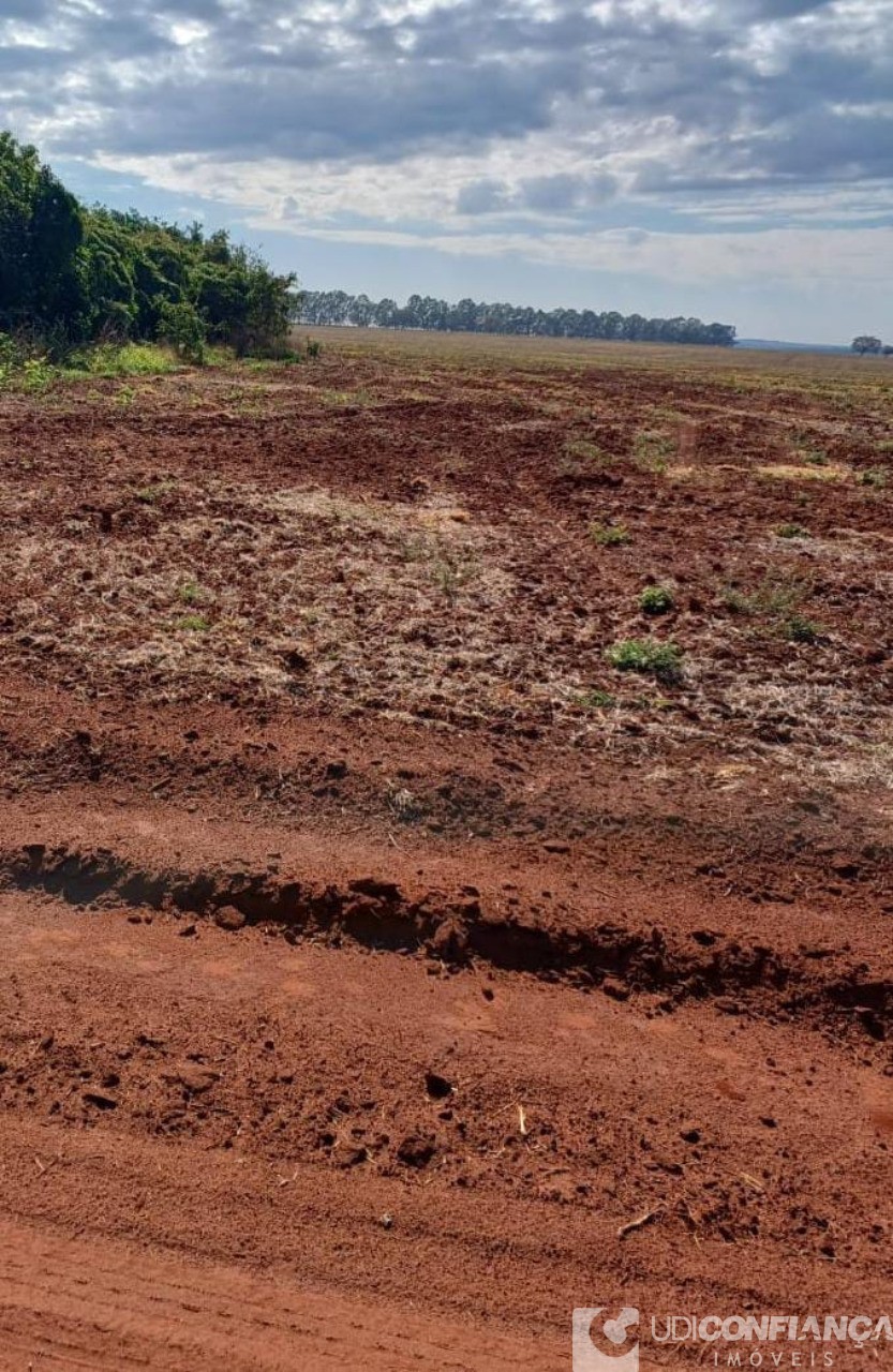 Fazenda - Foto 6