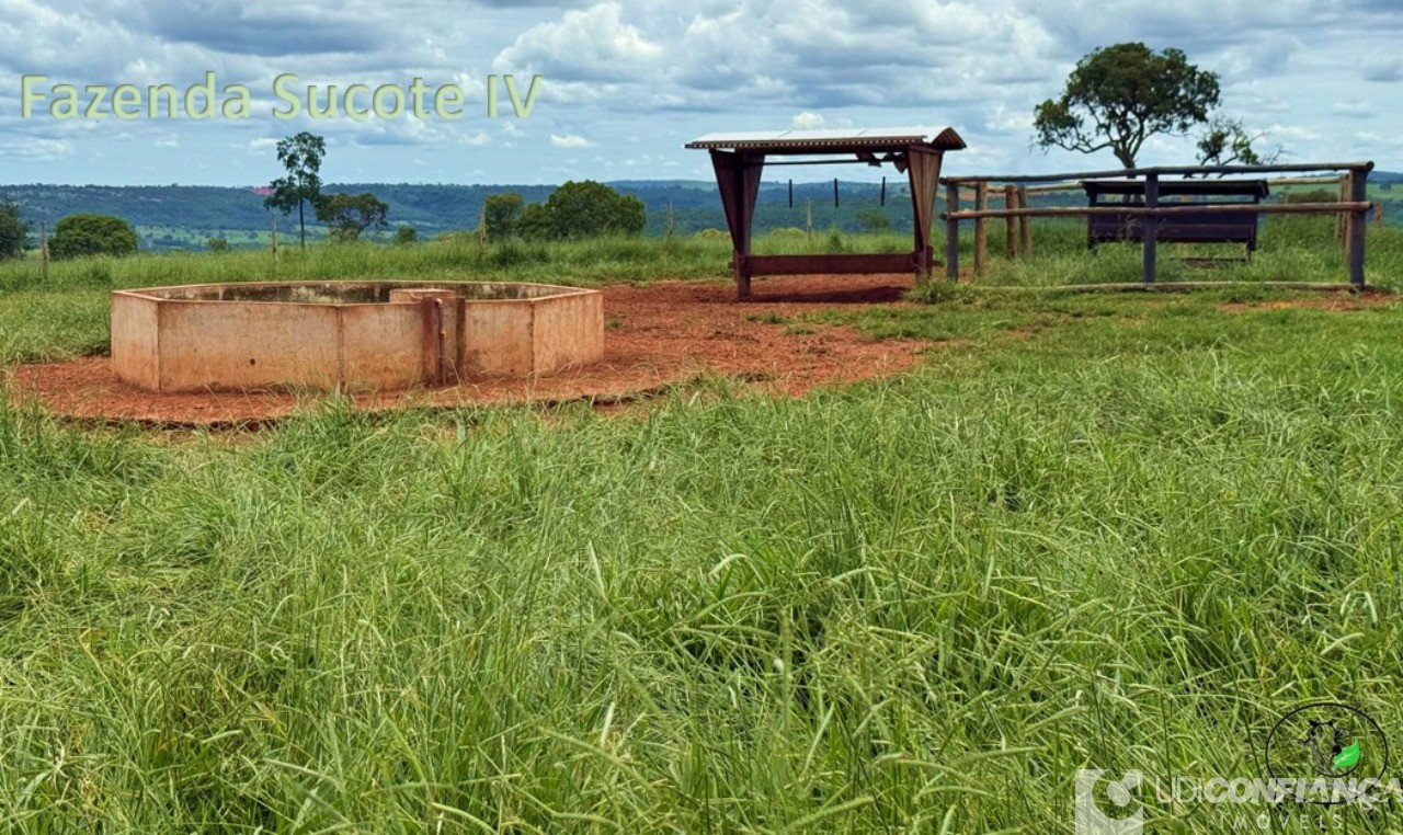 Fazenda - Foto 7