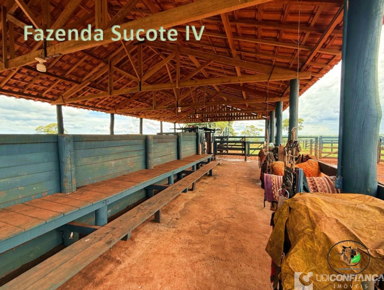 Fazenda - Foto 4