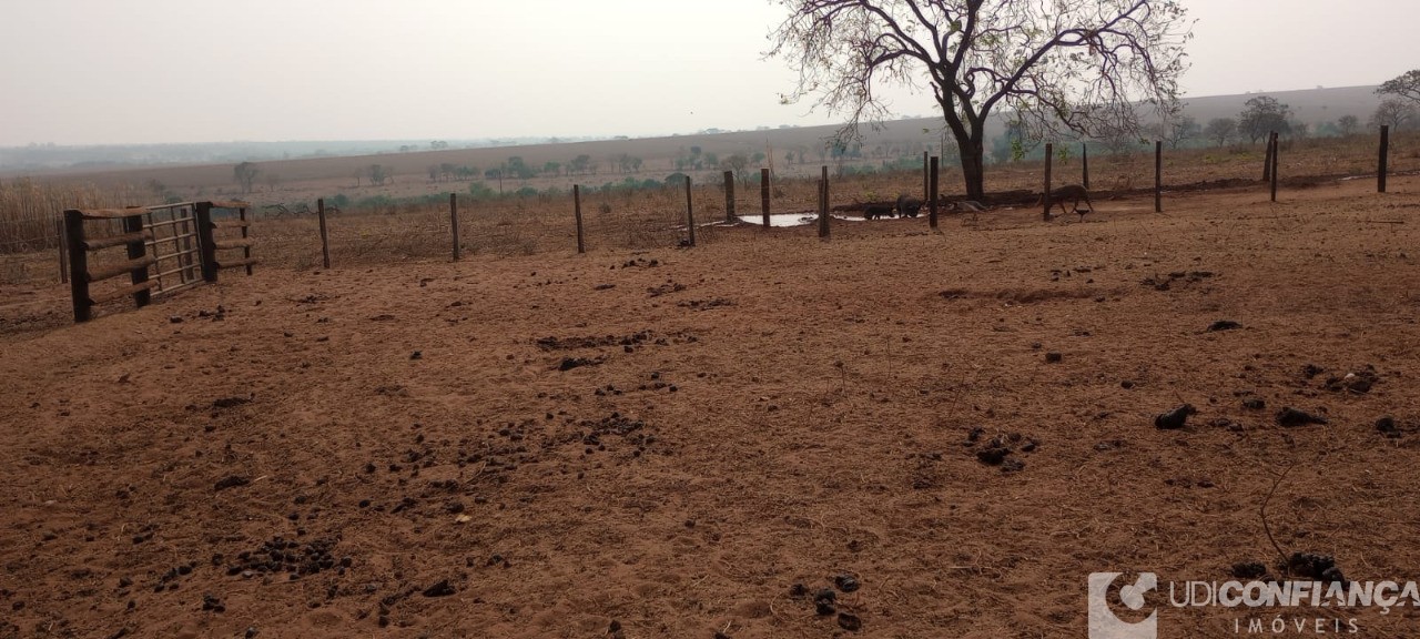 Fazenda - Foto 7