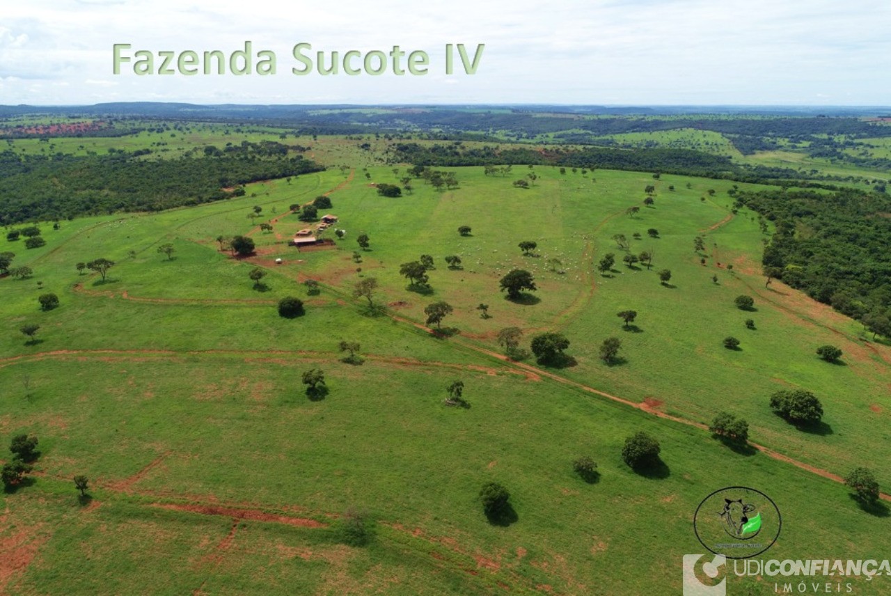Fazenda - Foto 17
