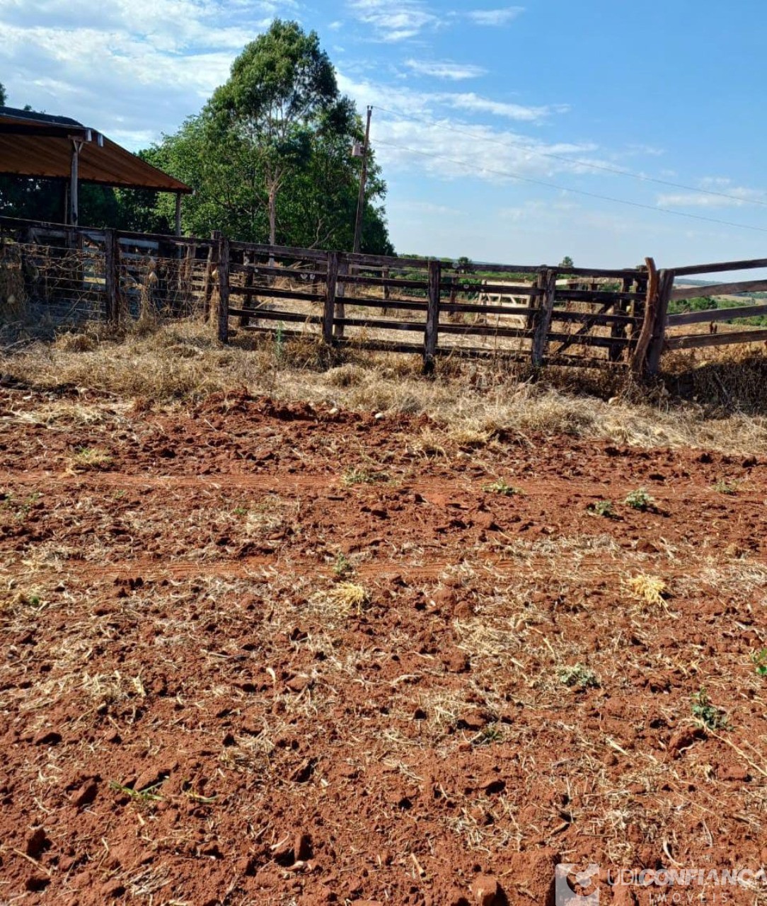Fazenda - Foto 5