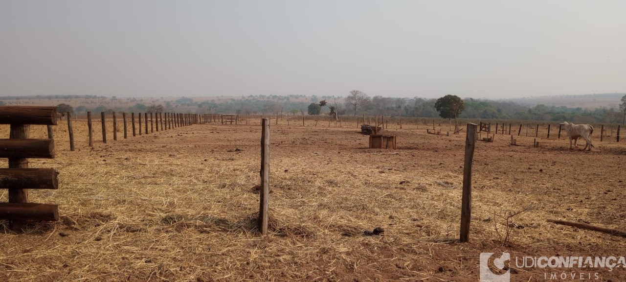 Fazenda - Foto 24