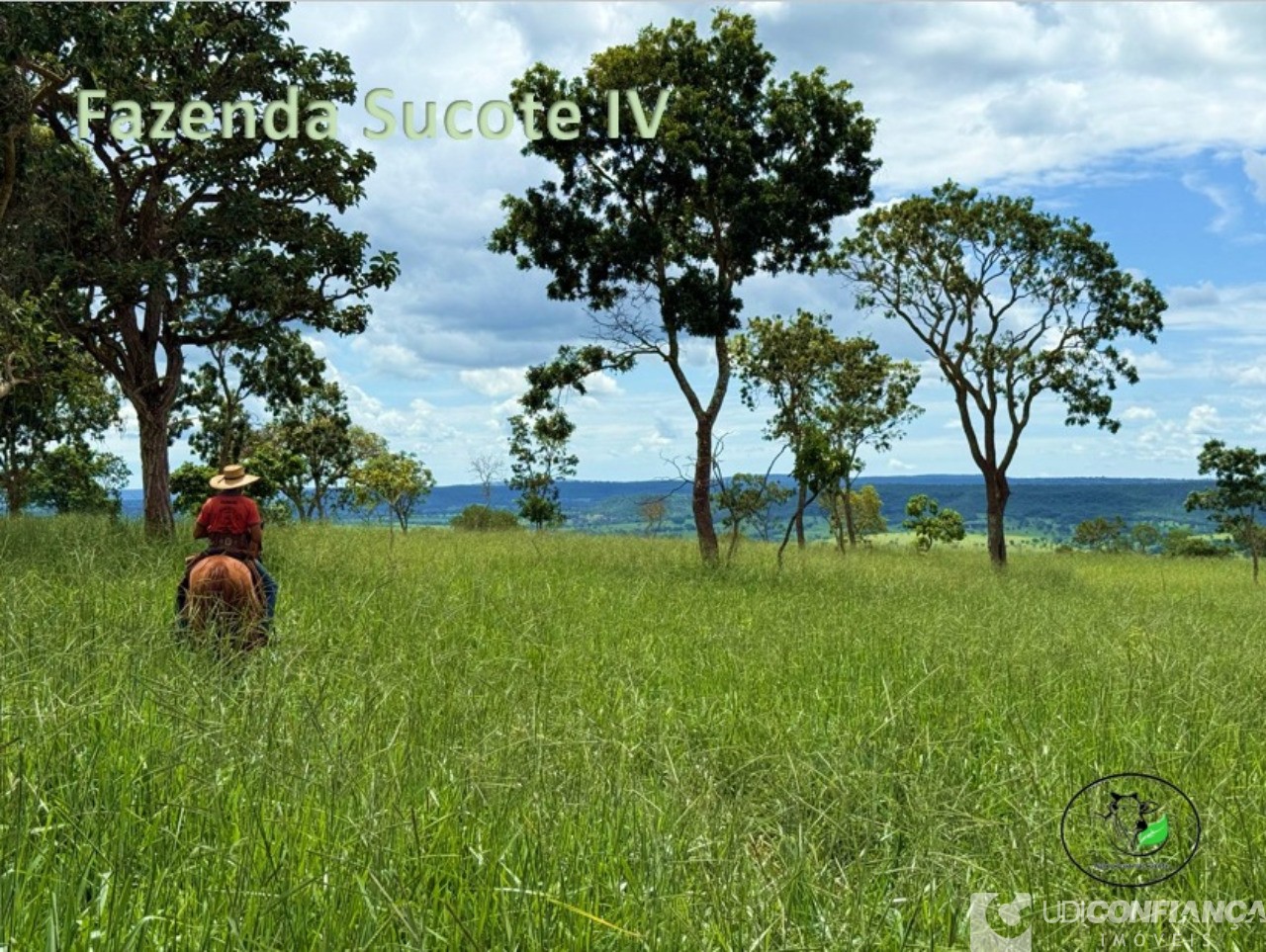 Fazenda - Foto 12