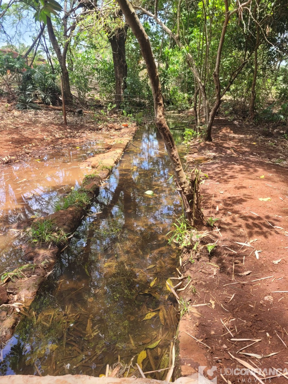 Fazenda - Foto 35