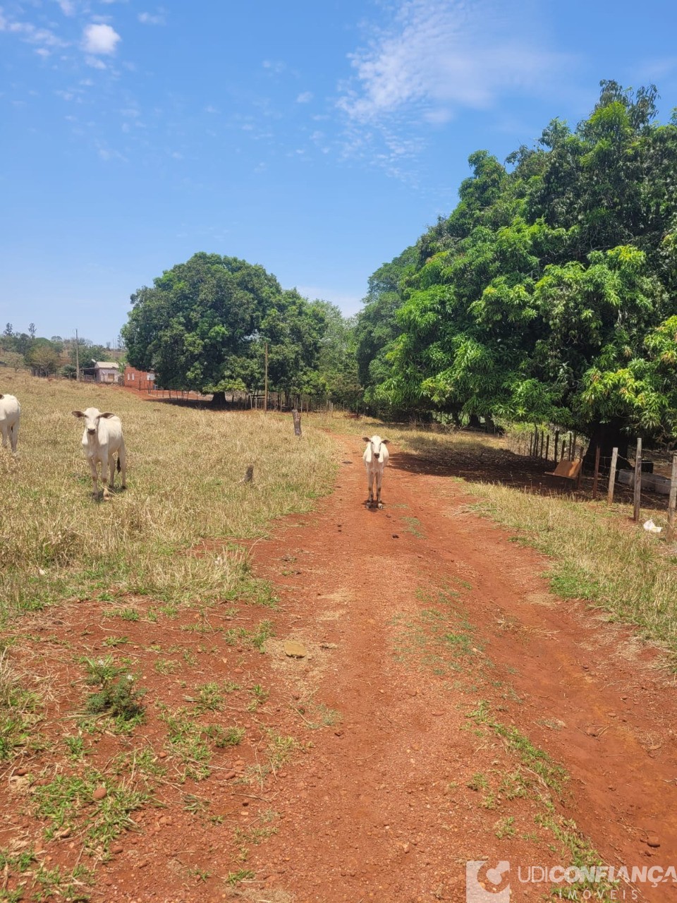 Fazenda - Foto 13