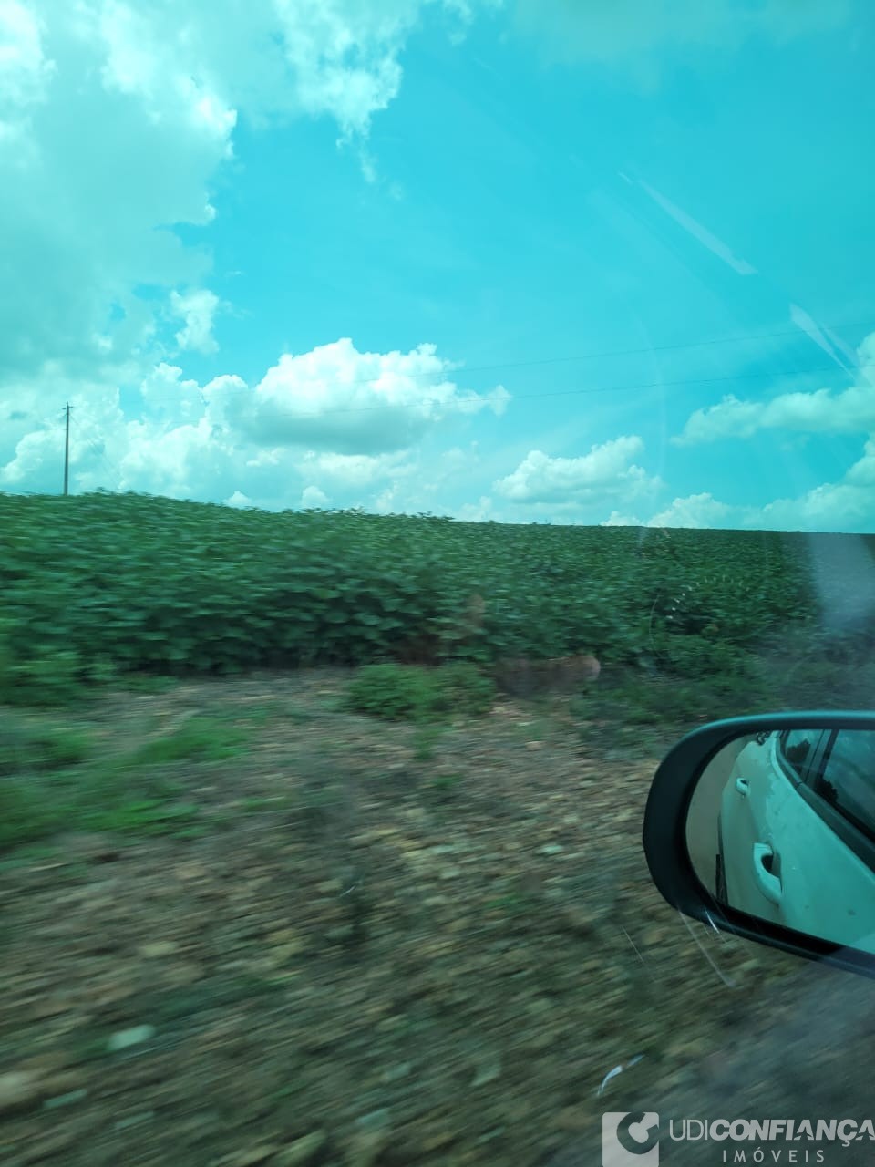 Fazenda - Foto 13
