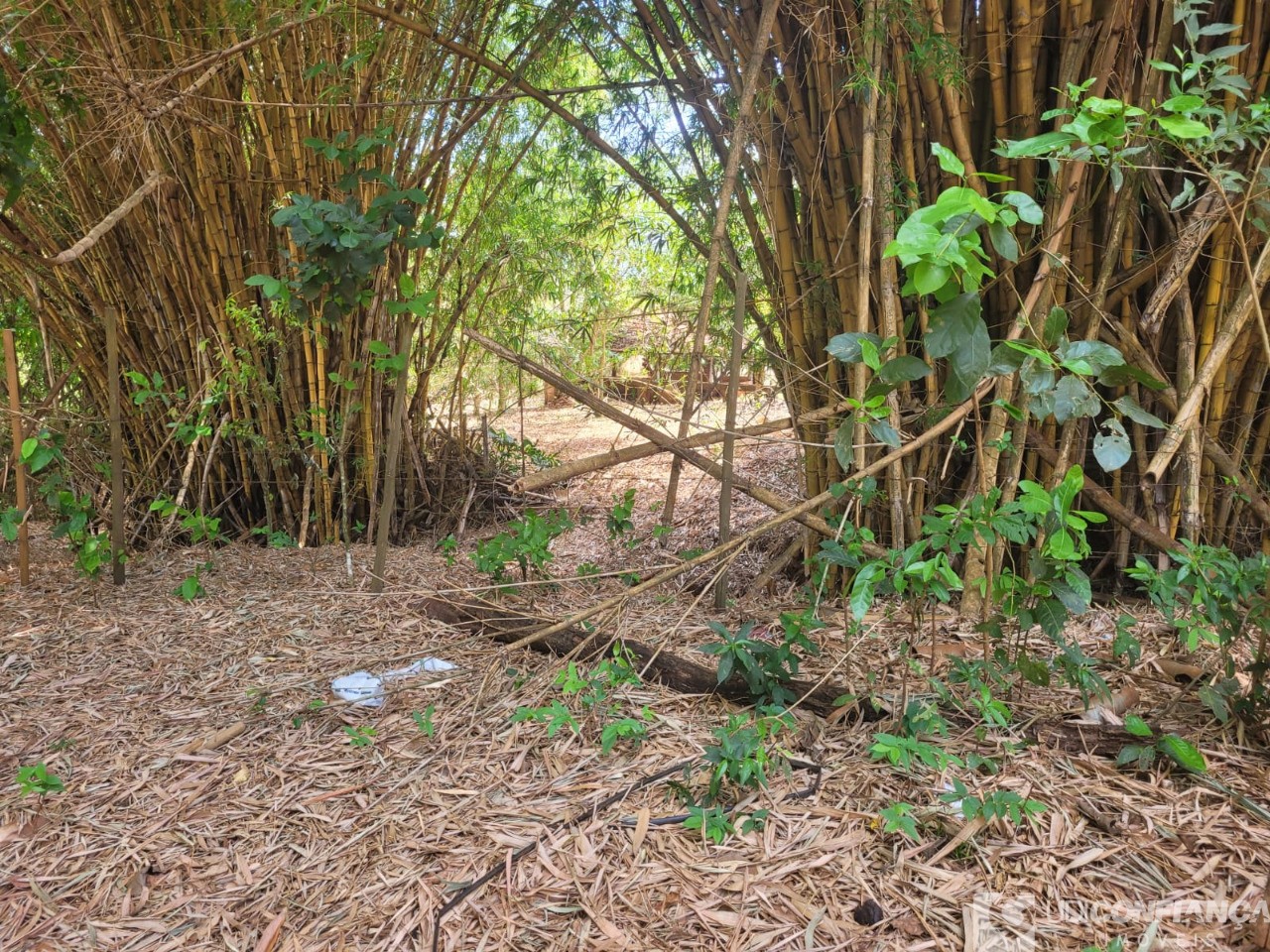 Fazenda - Foto 29
