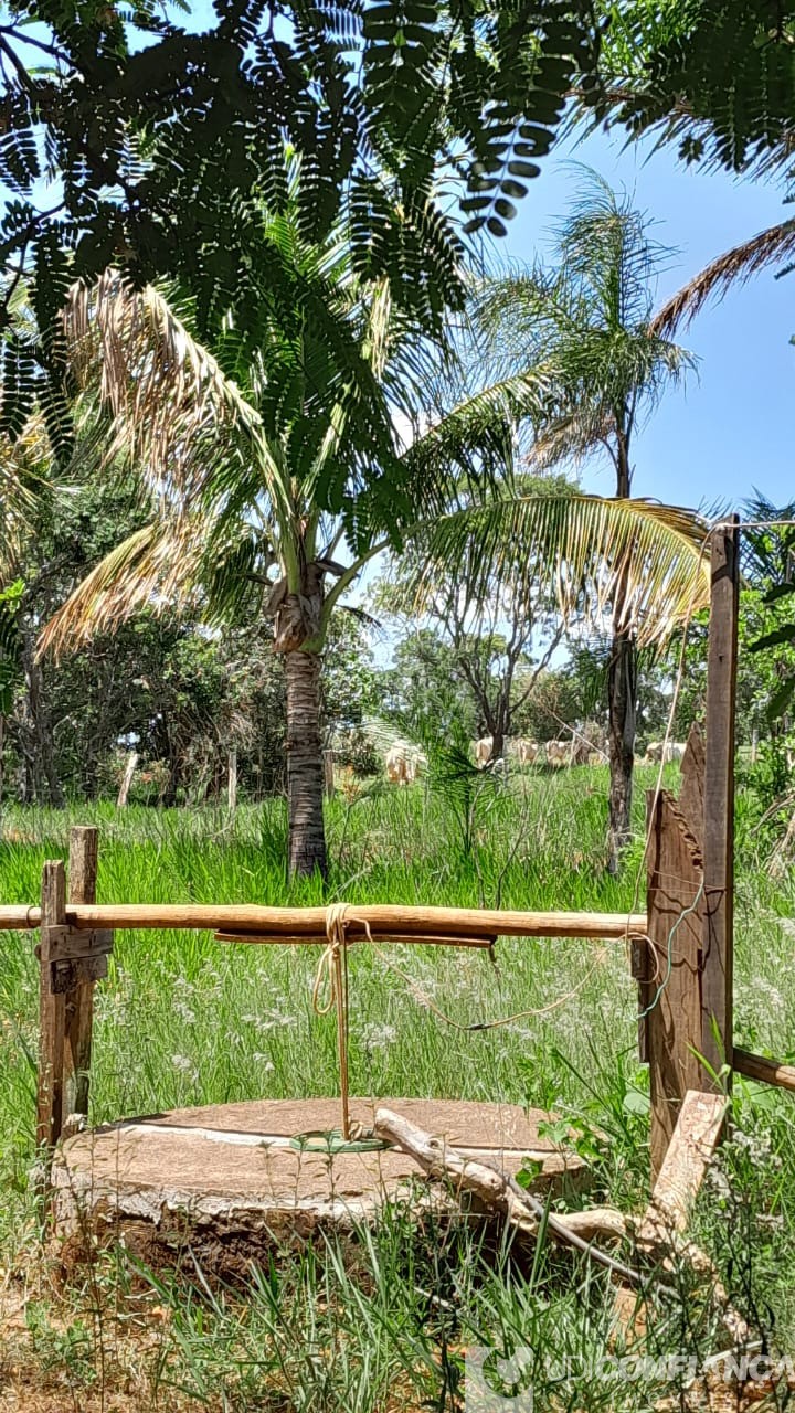 Fazenda - Foto 5