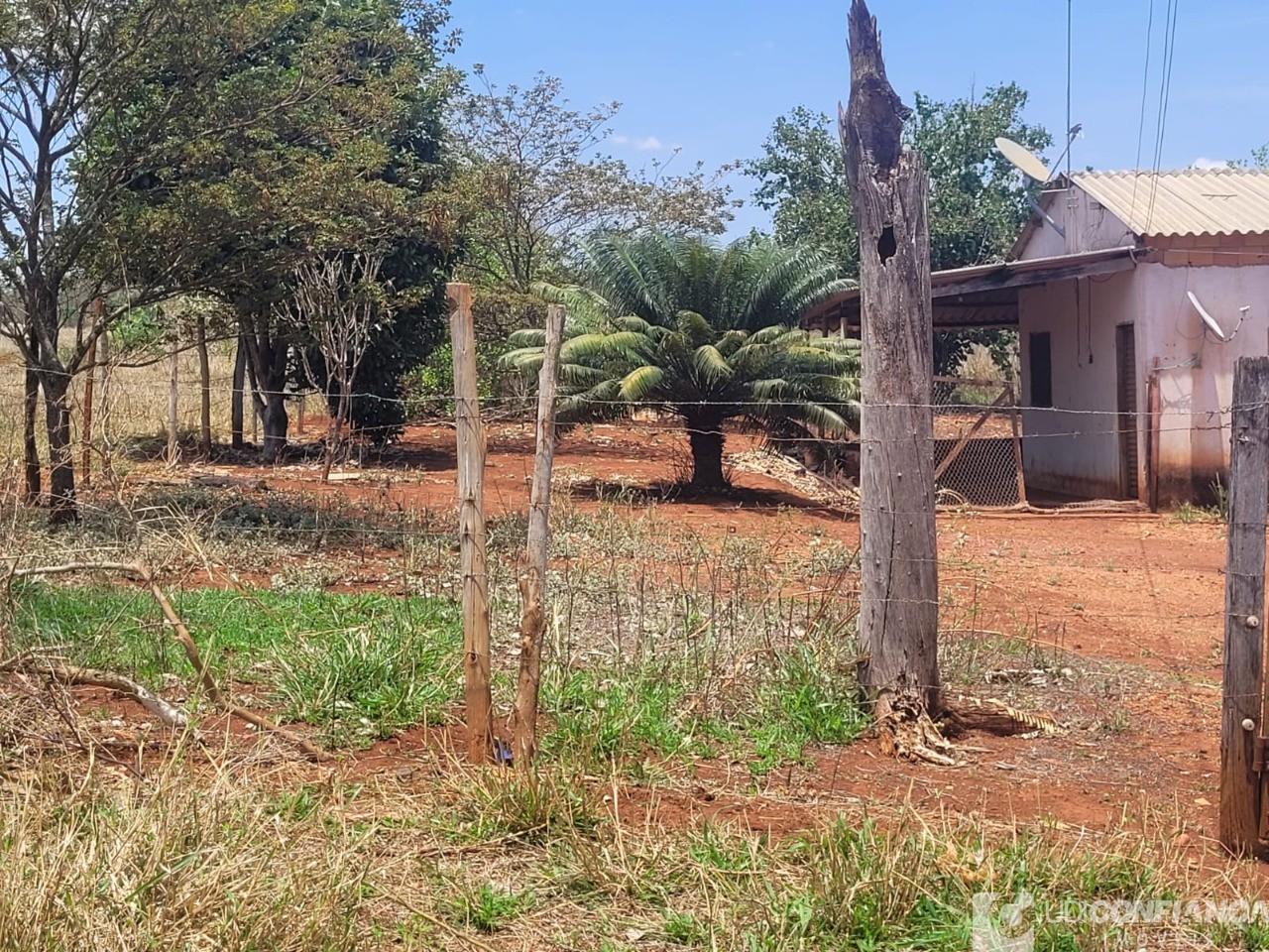Fazenda - Foto 44