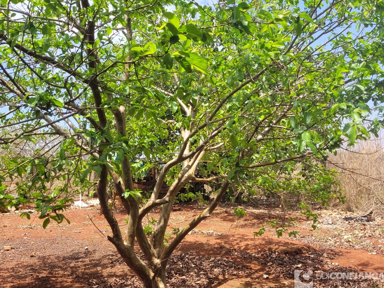 Fazenda - Foto 50