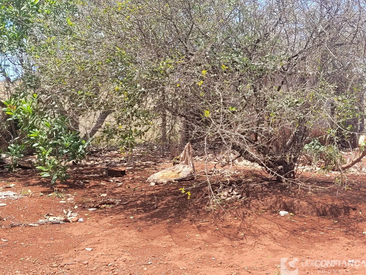 Fazenda - Foto 43