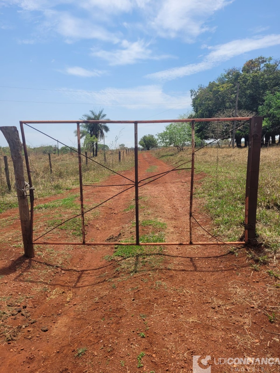 Fazenda - Foto 24